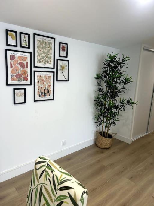 Apartamento Cocon Chaleureux Au Coeur De Mirepoix Mirepoix  Exterior foto