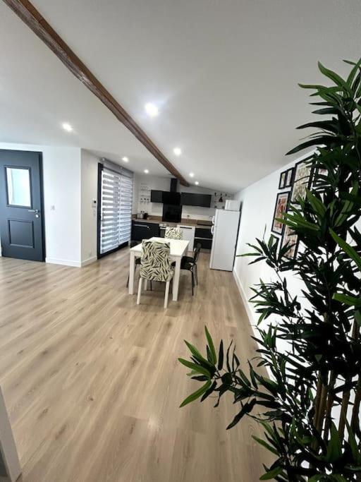 Apartamento Cocon Chaleureux Au Coeur De Mirepoix Mirepoix  Exterior foto